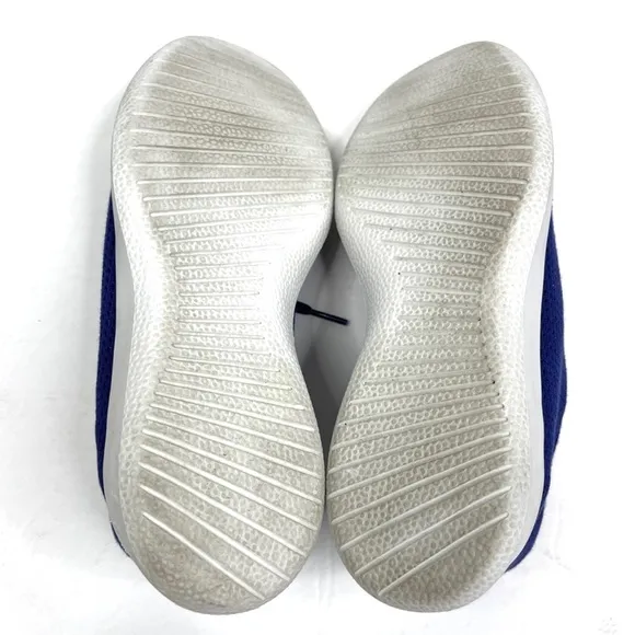 ALLBIRDS Tree Runners Limited Edition Blue Ridge Size 10 Sneakers