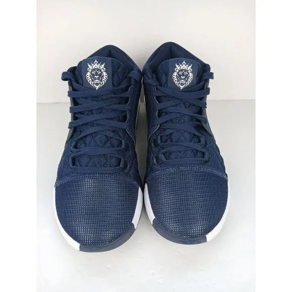 Nike LeBron Witness VIII TB College Navy/White FB9944-400  Men's Size 8.5 Blue