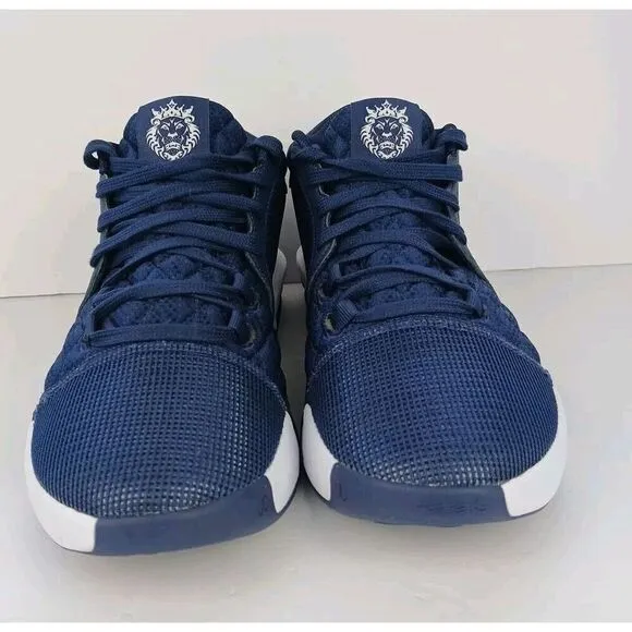 Nike LeBron Witness VIII TB College Navy/White FB9944-400  Men's Size 8.5 Blue