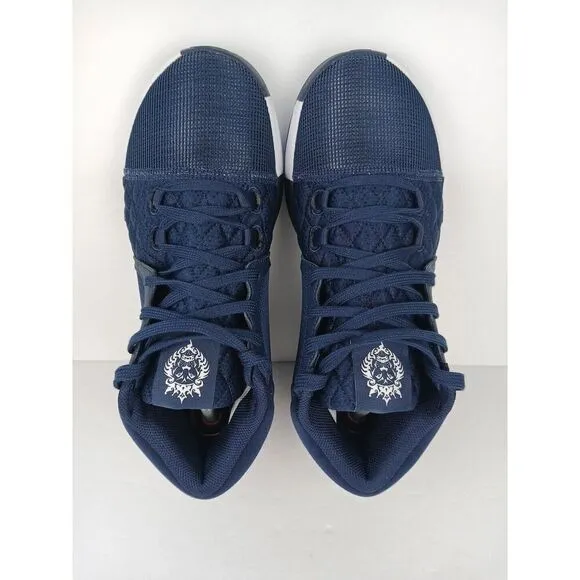Nike LeBron Witness VIII TB College Navy/White FB9944-400  Men's Size 8.5 Blue
