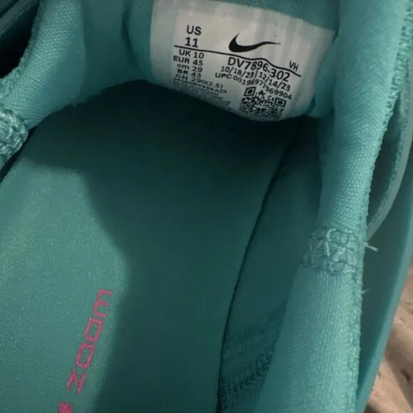 Nike Sb Zoom Nyjah 3 Dusty Cactus-Pinksicle Sz 11 [DV7896-302]