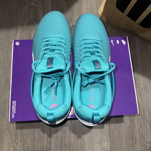 Nike Sb Zoom Nyjah 3 Dusty Cactus-Pinksicle Sz 11 [DV7896-302]
