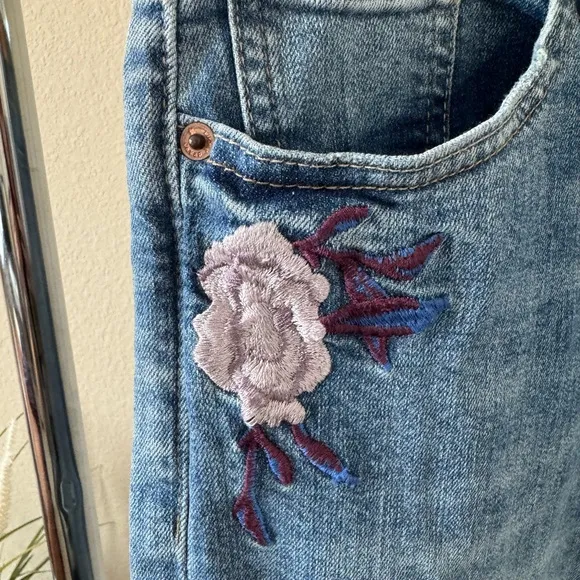 NWT Lucky Brand Jeans Bridgette Skinny Denim Size 12/31 Embroidered Hummingbird