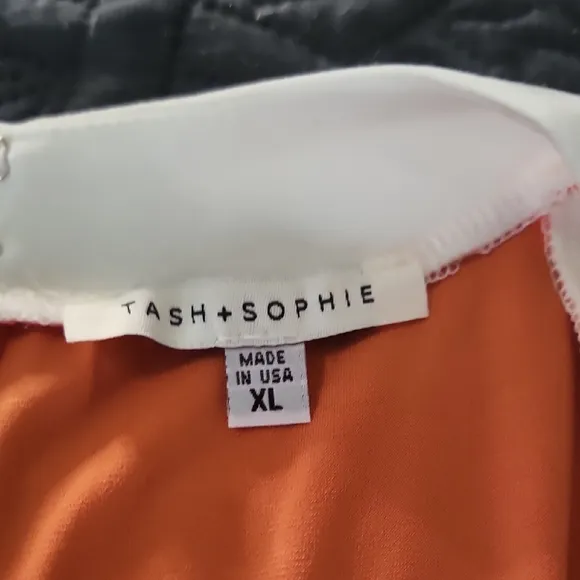 TASH   SOPHIE Colorblock Shift Dress