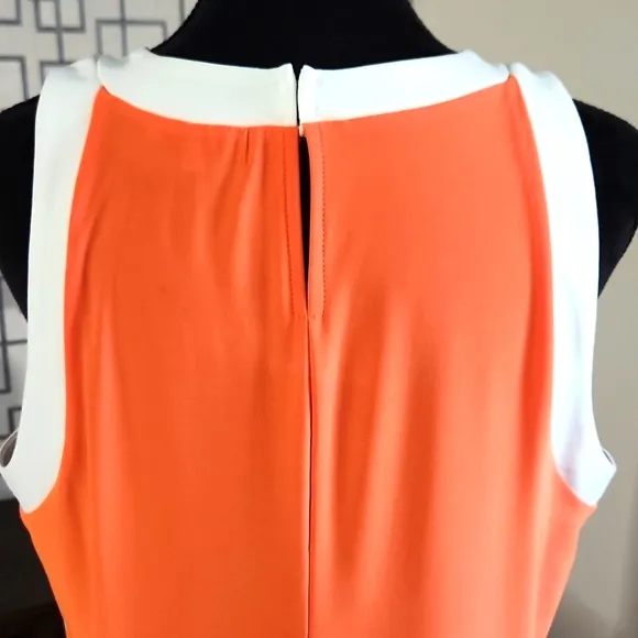TASH   SOPHIE Colorblock Shift Dress