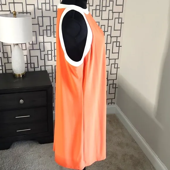 TASH   SOPHIE Colorblock Shift Dress