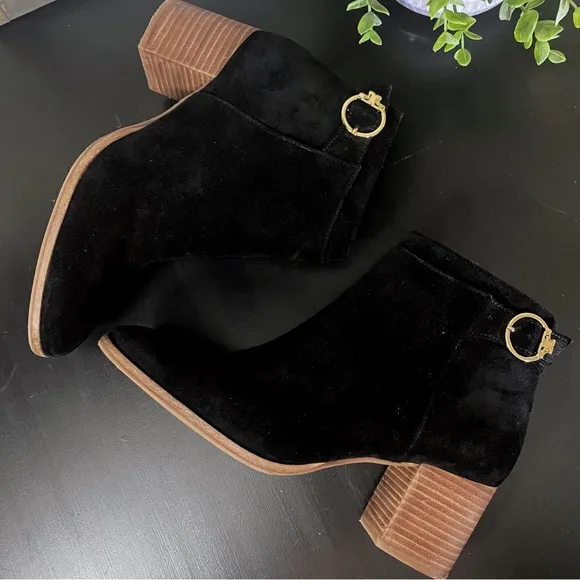 Tory Burch / Sophia Suede Ankle Boots