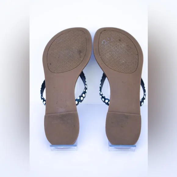 Tory Burch Terra Leather Patent Flat Thong Sandals Nautical Dots Women’s Size 6