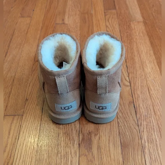 UGG Tan Suede Boots with Protector Spray